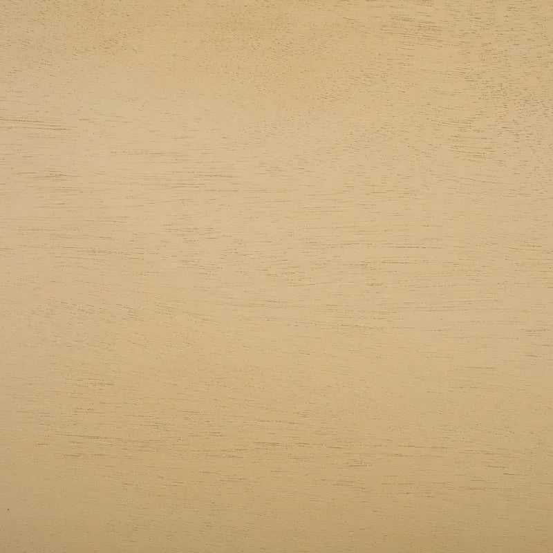 SAFAVIEH Elvia 2-Drawer Desk