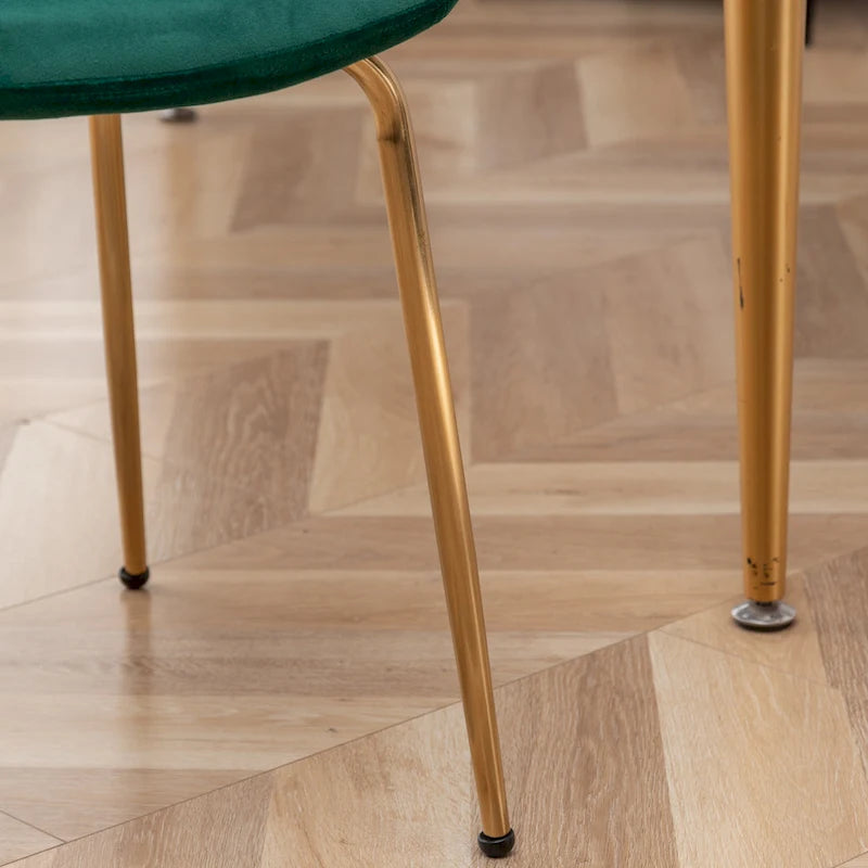 Roundhill Furniture Aufurr Modern Velvet Dining Chair (Set of 2)