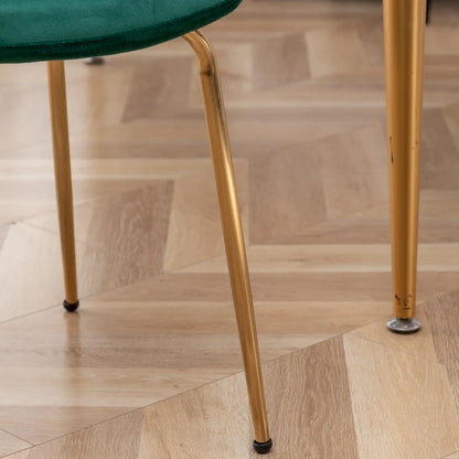 Roundhill Furniture Aufurr Modern Velvet Dining Chair (Set of 2)