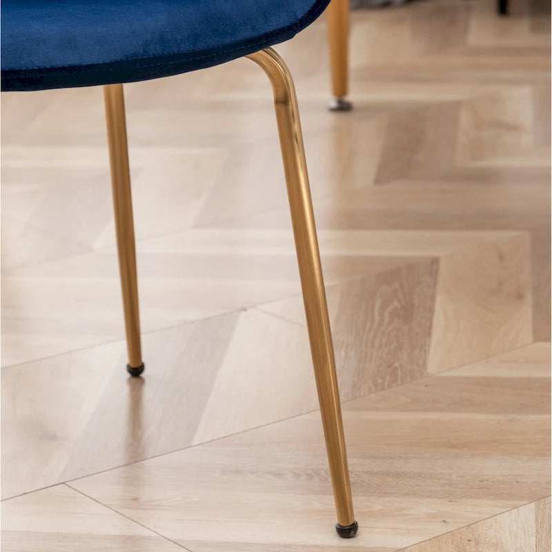 Roundhill Furniture Aufurr Modern Velvet Dining Chair (Set of 2)