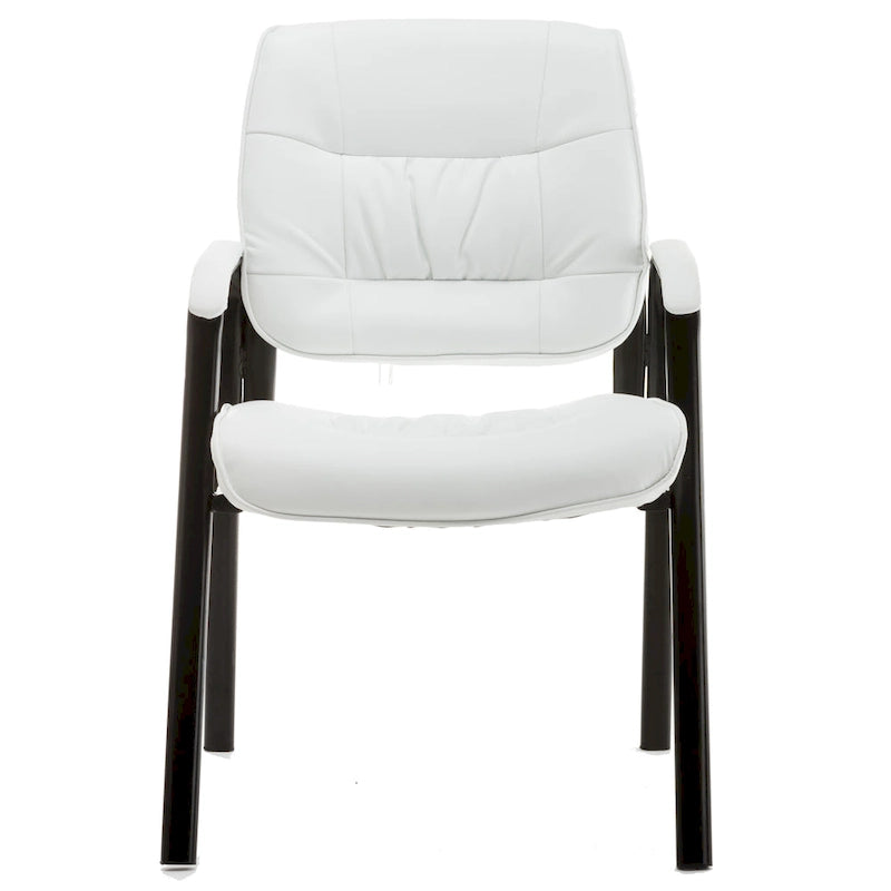 BTExpert Premium Leather Office Executive Waiting Room Guest/Reception Side Conference Chair