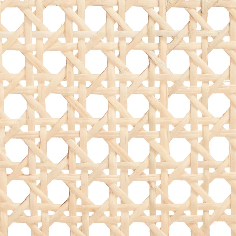 SAFAVIEH Carry Low Back Cane Counter Stool - 16 W x 19 D x 31 H - 16Wx19Dx31H