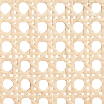 SAFAVIEH Carry Low Back Cane Counter Stool - 16 W x 19 D x 31 H - 16Wx19Dx31H