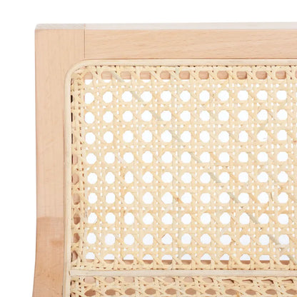 SAFAVIEH Carry Low Back Cane Counter Stool - 16 W x 19 D x 31 H - 16Wx19Dx31H