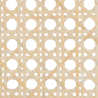 SAFAVIEH Carry Low Back Cane Counter Stool - 16 W x 19 D x 31 H - 16Wx19Dx31H